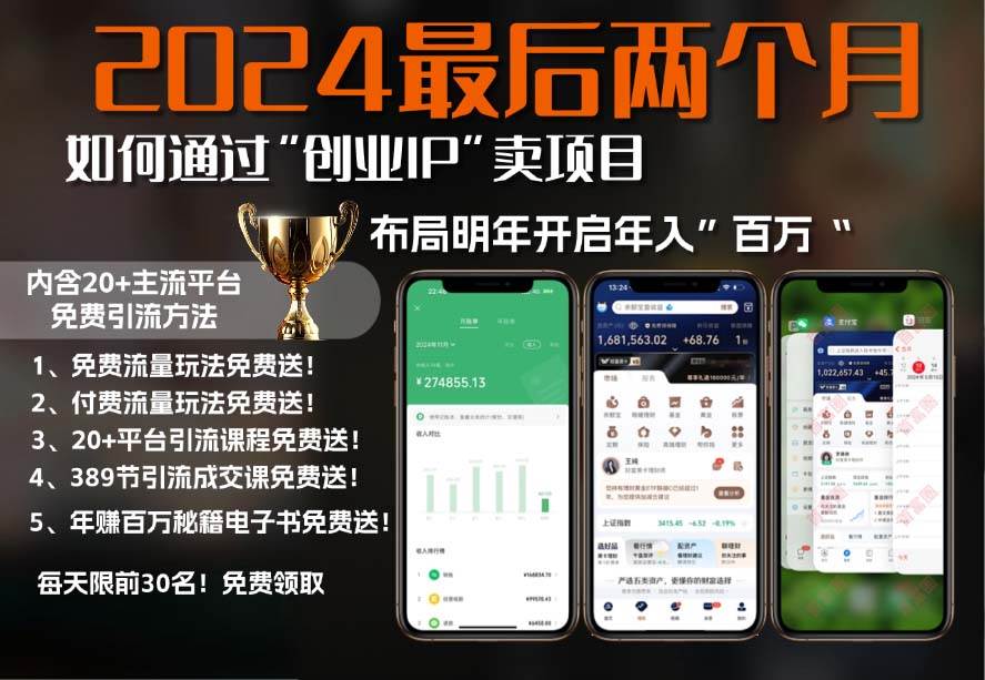 (11.14)2024最后两个月如何通过”创业IP“卖项目年入”百万“,创业IP+最强引流