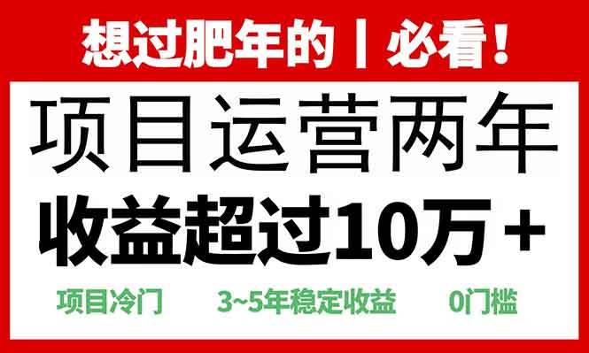(1.10)2025快递站回收玩法：收益超过10万+，项目冷门，0门槛