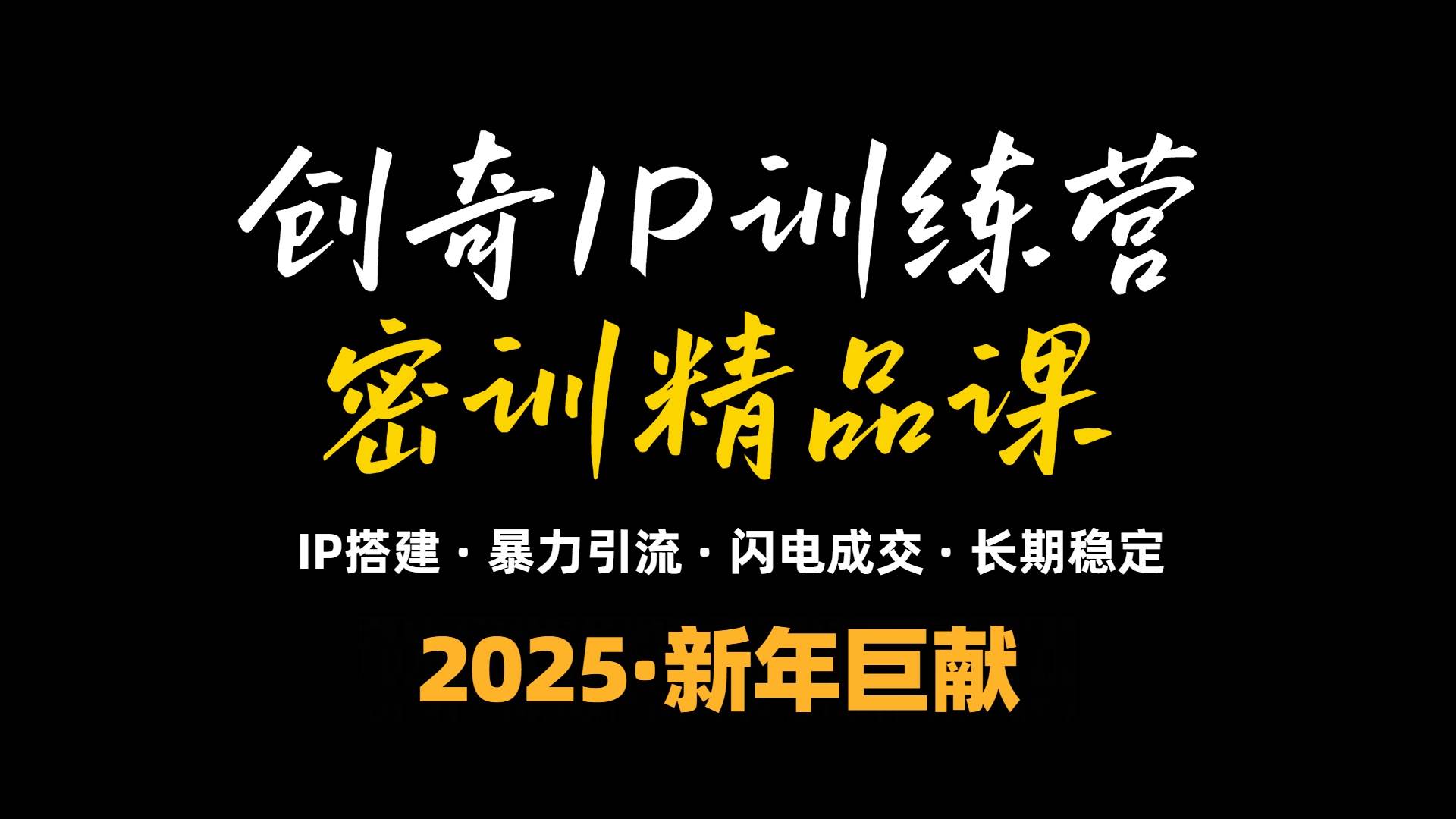 (1.3)2025年“知识付费IP训练营”小白避坑年赚百万，暴力引流，闪电成交