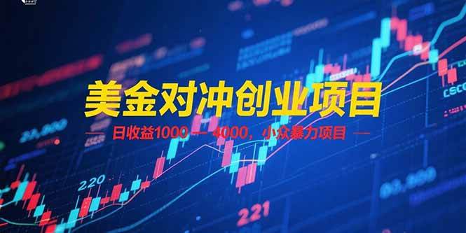 (6.23)美金对冲创业项目，日收益 1000 – 4000，小众暴力项目