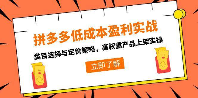 (6.20)拼多多低成本盈利实战，类目选择与定价策略，高权重产品上架实操
