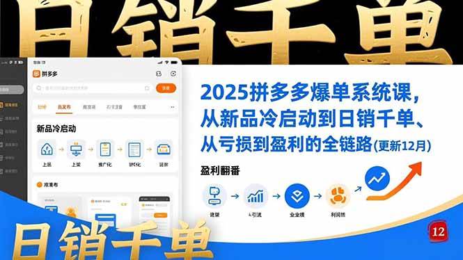 (12.22)2025拼多多爆单系统课，从新品冷启动到日销千单、从亏损到盈利的全链路（更新12月）